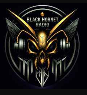 Black Hornet Radio